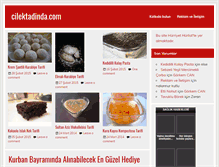 Tablet Screenshot of cilektadinda.com